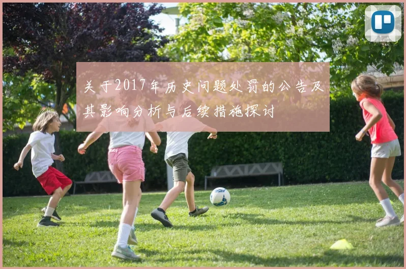 关于2017年历史问题处罚的公告及其影响分析与后续措施探讨