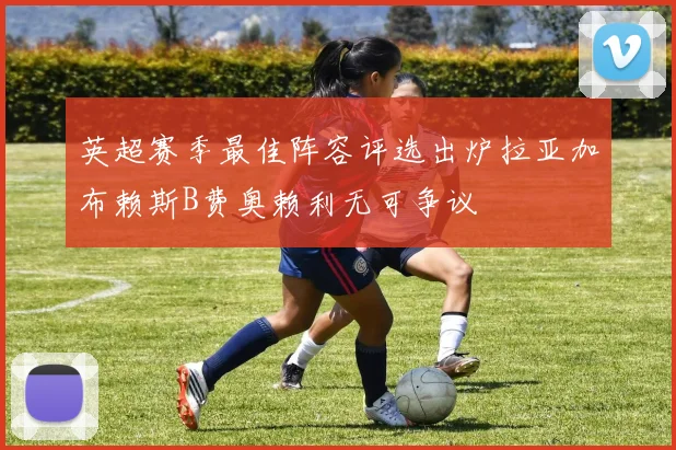 英超赛季最佳阵容评选出炉拉亚加布赖斯B费奥赖利无可争议